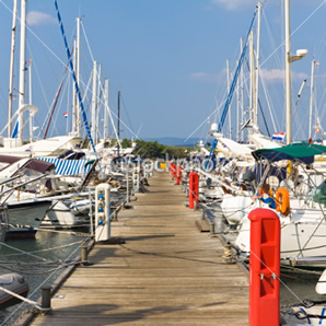 Valley Illuminators Marinas pic_1